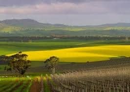 pindarie winery  South Australia tour In2 Travel Australia